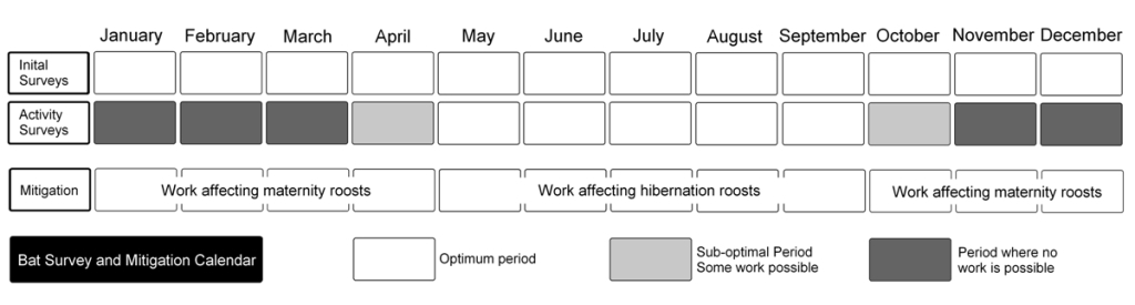 Bat Survey and Mitigation Calendar